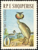 Albania-1963