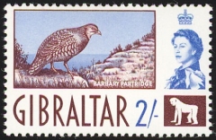Gibralter-1960