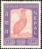 Nepal-1960