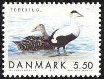 Denmark-1999