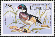 Dominica-1995
