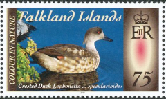 Falkland-Islands-2013