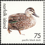 Norfolk-Island-2000