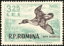 Romania-1956
