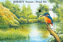 Jersey-2001
