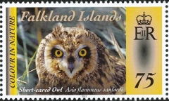 Falkland-Islands-2012