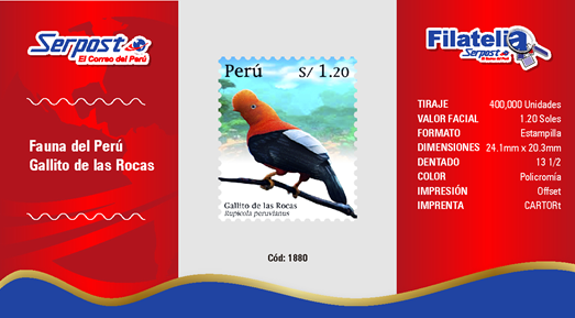 Andean Cock-of-the-Rock (Rupicola Peruvianus)